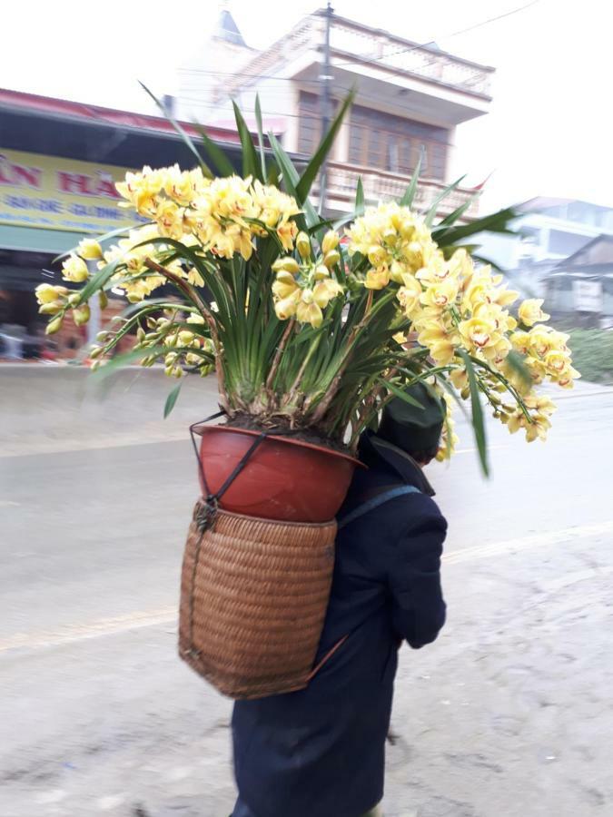 Thuan Ha Hotel Sapa Dış mekan fotoğraf